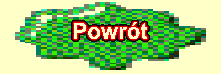 Powrt do strony gwnej